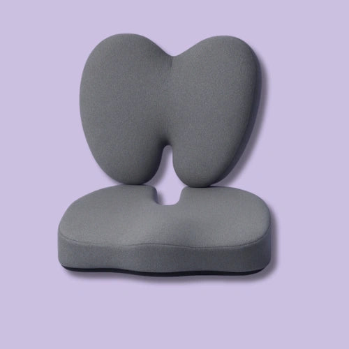 Zudo CoreComfort Ultimate Pro Seating Combo image