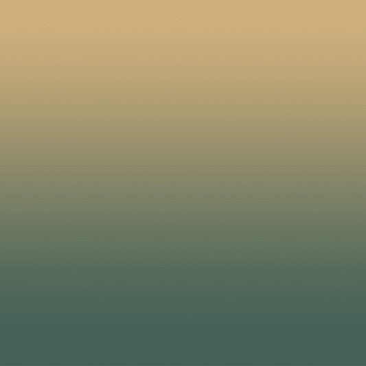 Elegant Ombre Print Room Darkening Curtain Set of 2, OMBRE24