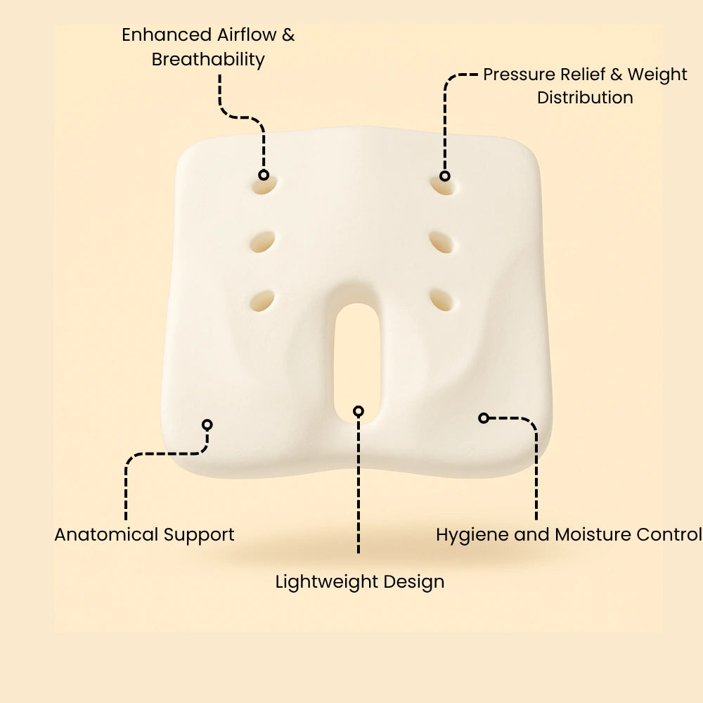 Zudo CoreComfort Coccyx Support Cushion image 5