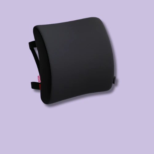 Zudo CoreComfort Back Rest Cushion image
